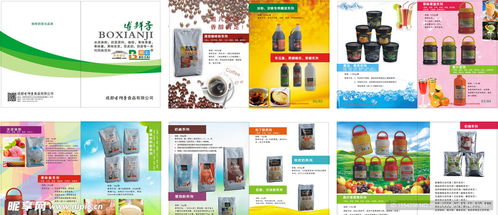 融合科技與美學(xué) 食品畫冊設(shè)計與定制化軟件開發(fā)的雙重創(chuàng)新